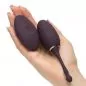 Preview: Fifty Shades Freed Vibro-Ei 'I've Got You' - Fernbedienung Preview: Fifty Shades Freed Vibro-Ei 'I've Got You' - Fernbedienung