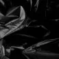 Preview: Vinyllaken 'Night Glider' - Schwarz