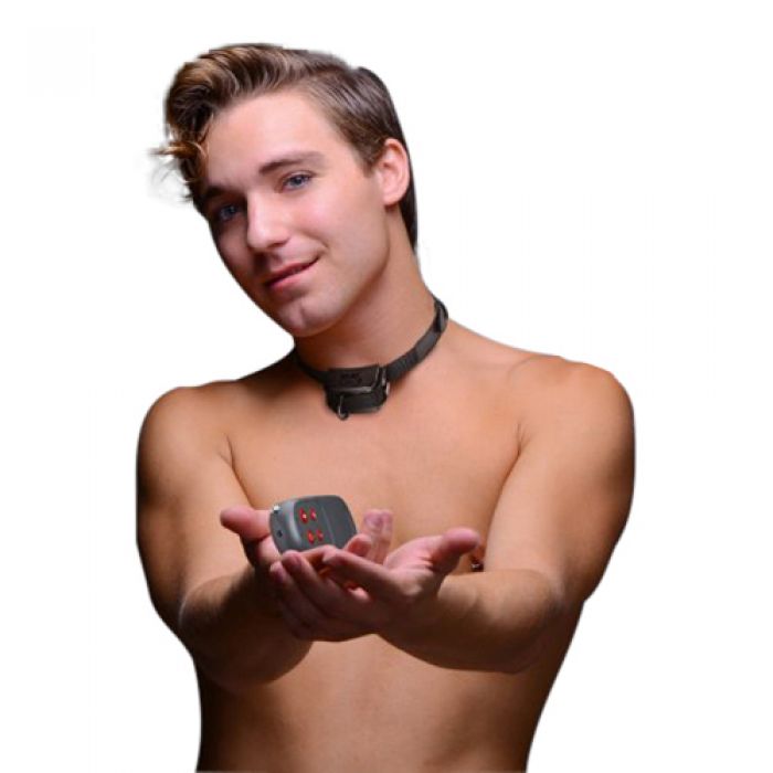 BDSM Elektro-Halsband mit Fernbedienung BDSM Elektro-Halsband mit Fernbedienung