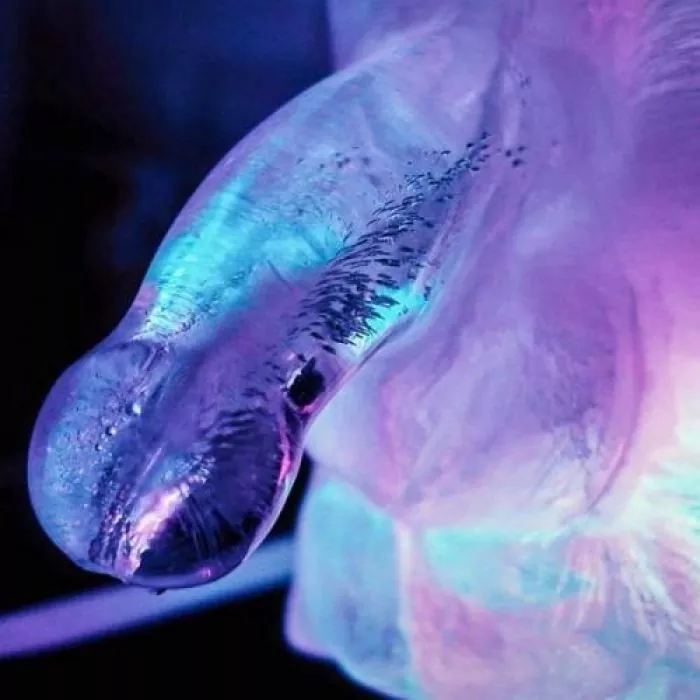 Gigantische Penis-Eisform für Getränke Gigantische Penis-Eisform für Getränke